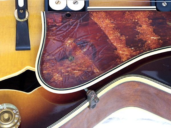 Detailfoto des Pickguards